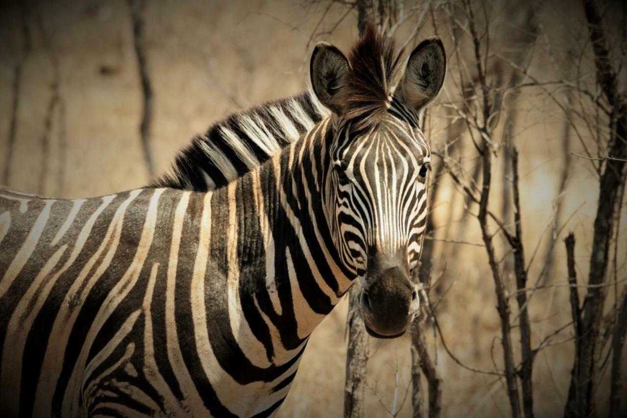 Готель Ngalali Retreat Grietjie Game Reserve Екстер'єр фото