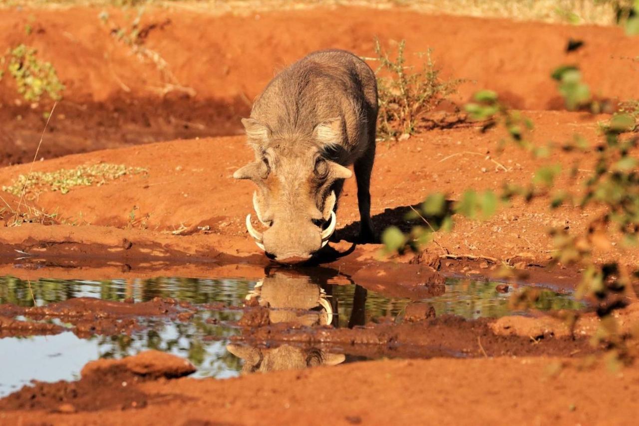 Готель Ngalali Retreat Grietjie Game Reserve Екстер'єр фото